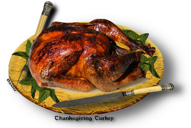 FRESH HERB ROASTED THANKSGIVING TURKEY